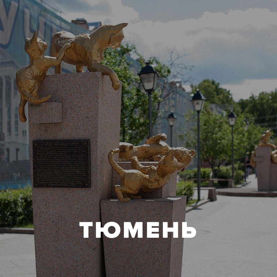 Регистрация ИП в Тюмени | DATAPUB